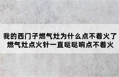 我的西门子燃气灶为什么点不着火了 燃气灶点火针一直哒哒响点不着火